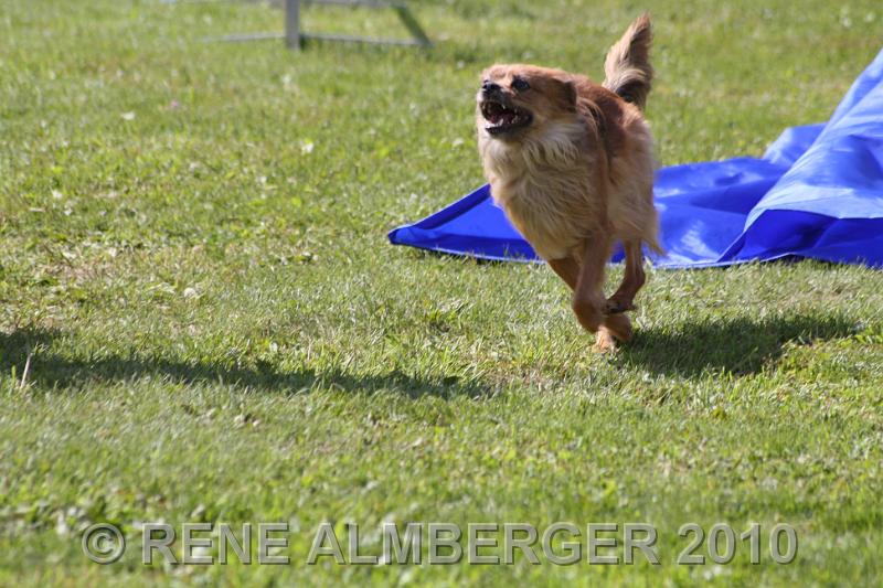 Bild 310.jpg